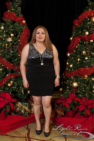 470_HolidayPhotoBooth2013byLightRainImages