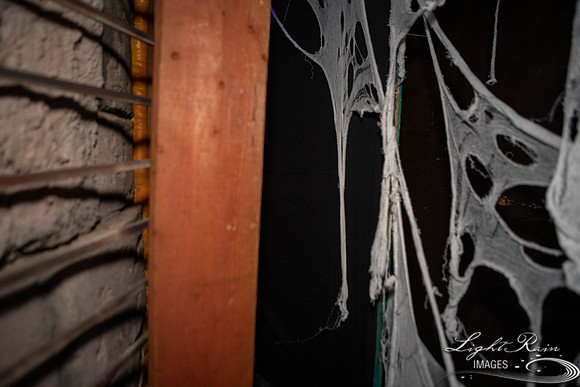 untitled (114 of 206)