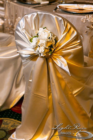 LRI-OV476_PatelSK-02232019