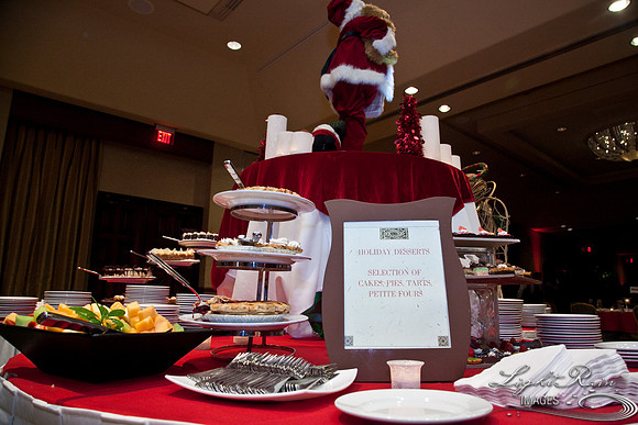 775_HolidayVenueDetails2013byLightRainImages