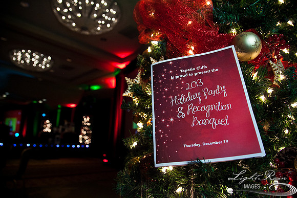 779_HolidayVenueDetails2013byLightRainImages