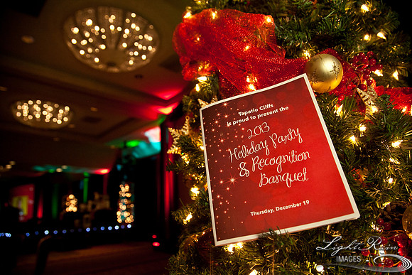 778_HolidayVenueDetails2013byLightRainImages