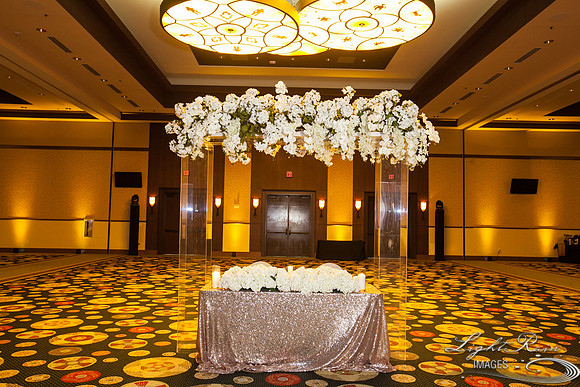 LRI-OV460_PatelSK-02232019