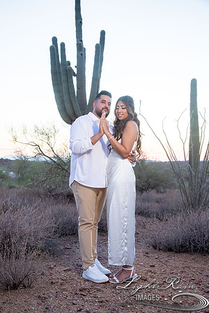 G1 (392 of 420)