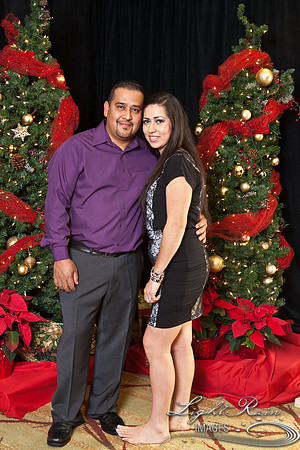 530_HolidayPhotoBooth2013byLightRainImages