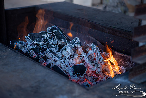 Toothie (20 of 428)