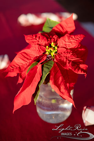 Toothie (31 of 428)