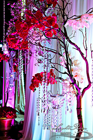 LightRainImages_vd0153