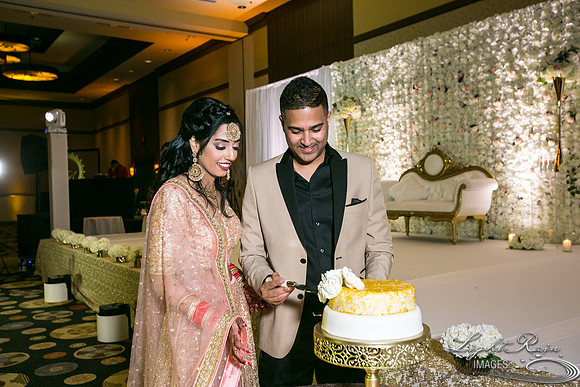 LRI-OV524_PatelSK-02232019