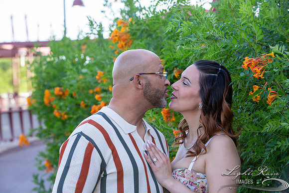 C&P (202 of 707)