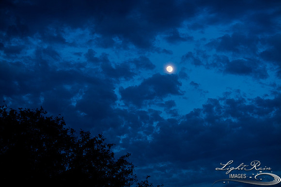 020moon_0390