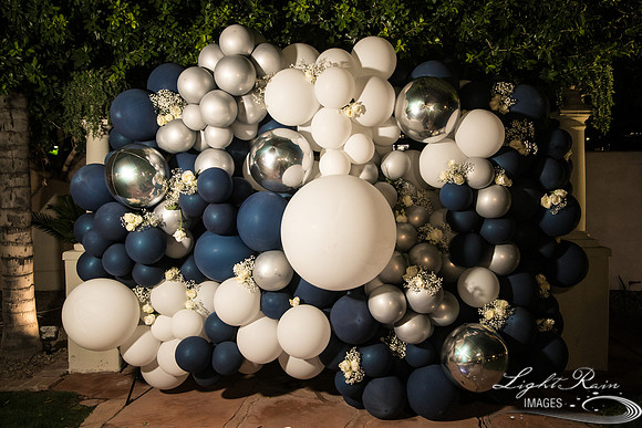 LRI-384HL_CarilloT11162019