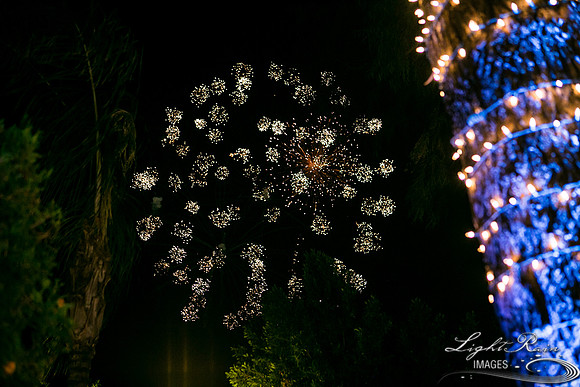 LRI-393HL_CarilloT11162019