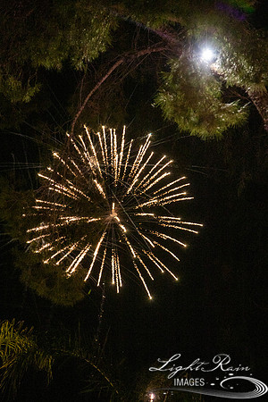 LRI-428HL_CarilloT11162019