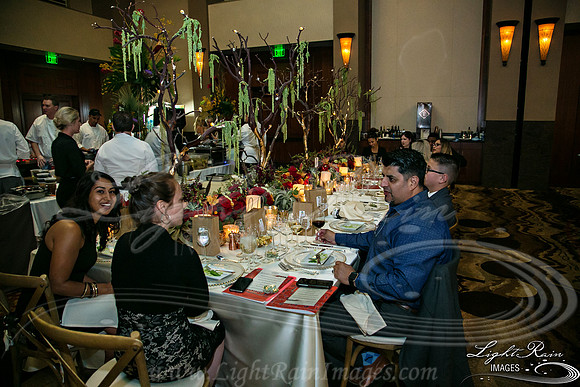 693-FlavorsPHX-LightRainImages05272016