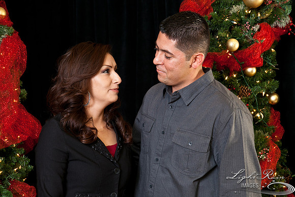 378_HolidayPhotoBooth2013byLightRainImages