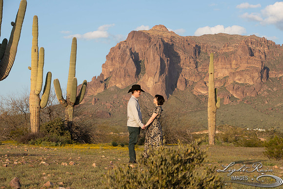 untitled (13 of 236)