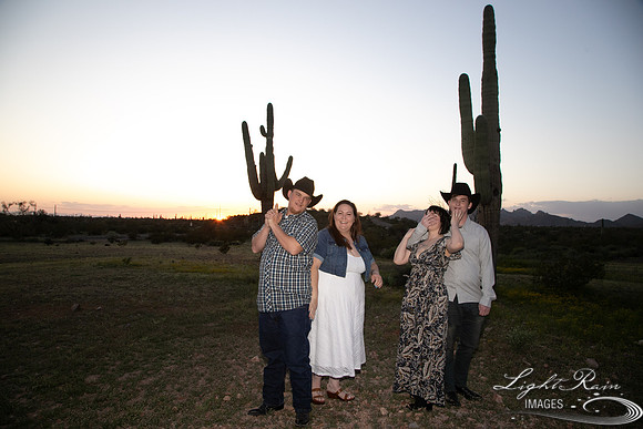 untitled (232 of 236)