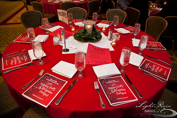 758_HolidayVenueDetails2013byLightRainImages