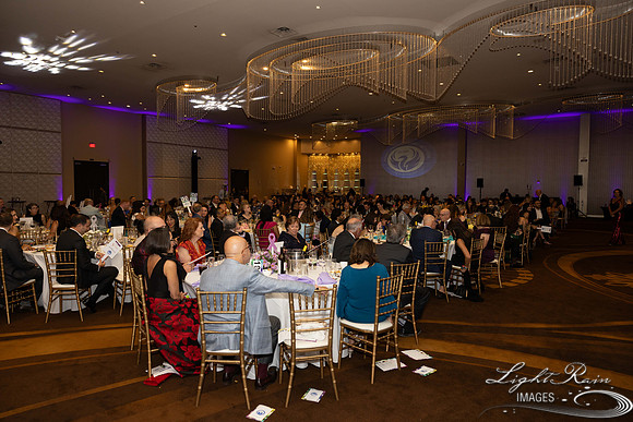 G2 (488 of 559)