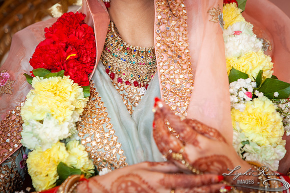 LRI-OV309_PatelSK-02232019