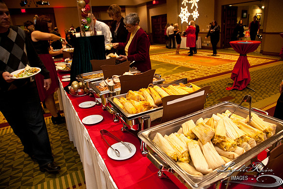 753_HolidayVenueDetails2013byLightRainImages