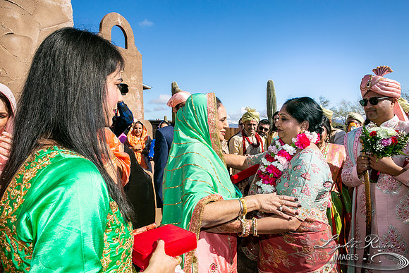 LRI-OV114_PatelSK-02232019