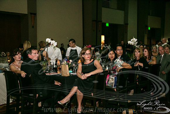454-FlavorsPHX-LightRainImages05272016