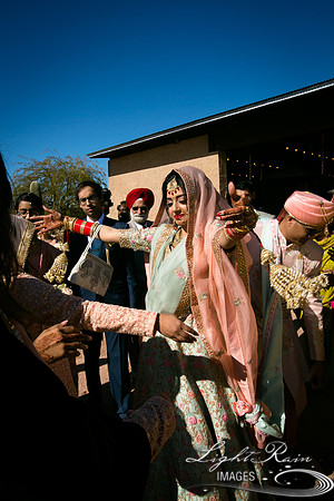 LRI-OV368_PatelSK-02232019