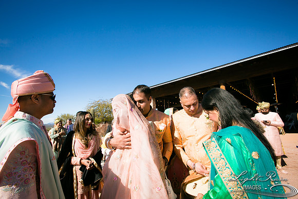 LRI-OV361_PatelSK-02232019