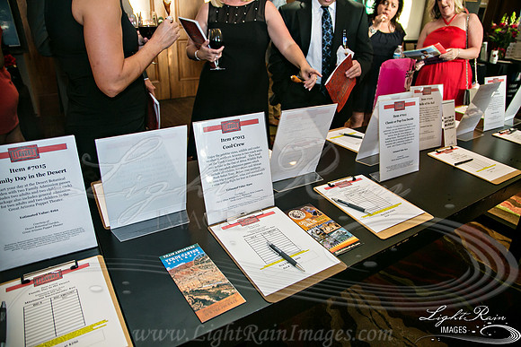 302-FlavorsPHX-LightRainImages05272016
