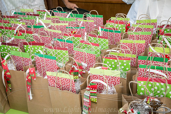 020G_LightRainImages-07212016