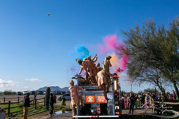 LRI-OV081_PatelSK-02232019