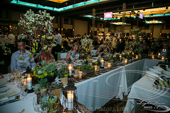 555-FlavorsPHX-LightRainImages05272016