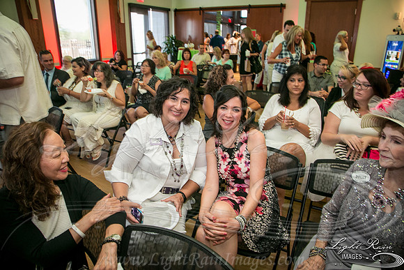 123G_LightRainImages-07212016