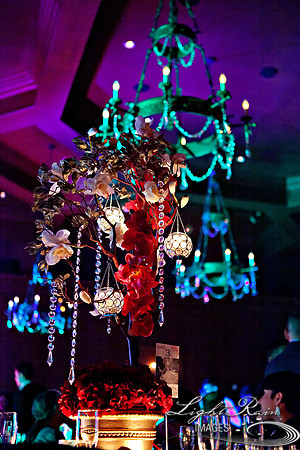 LightRainImages_vd0228
