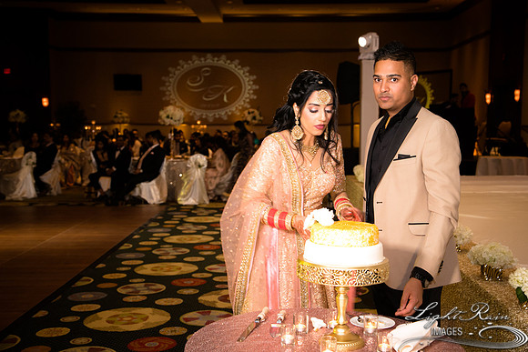 LRI-OV566_PatelSK-02232019