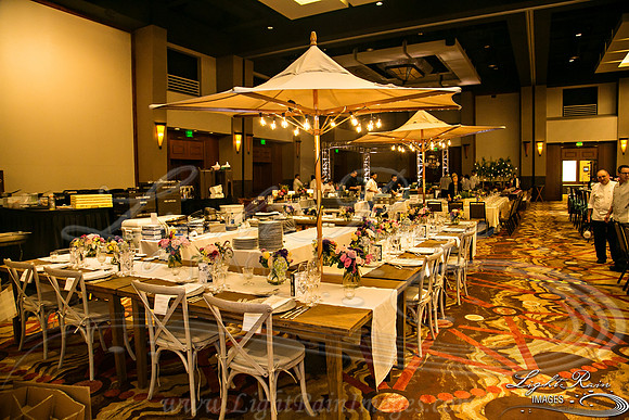 078-FlavorsPHX-LightRainImages05272016