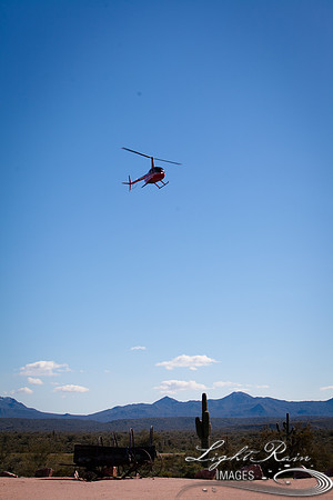 LRI-OV376_PatelSK-02232019
