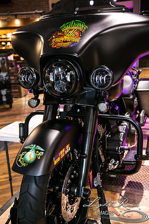 LRI049-HarleyDavidson_01262019