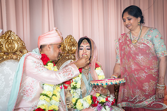 LRI-OV303_PatelSK-02232019