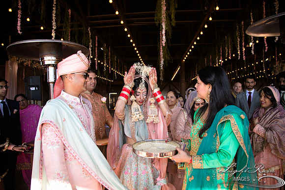 LRI-OV388_PatelSK-02232019