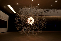 vd__Borkowski161_L