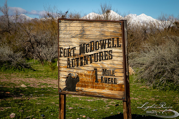 LRI-OV068_PatelSK-02232019