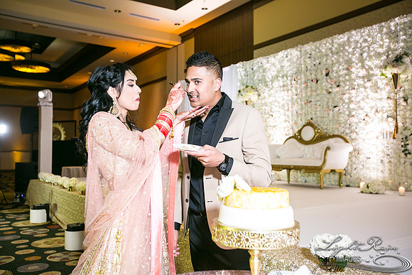 LRI-OV529_PatelSK-02232019