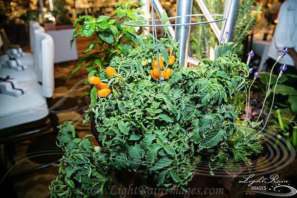065-FlavorsPHX-LightRainImages05272016
