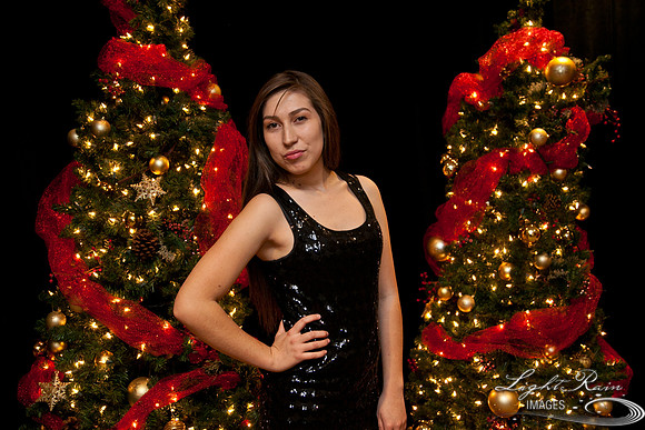 502_HolidayPhotoBooth2013byLightRainImages