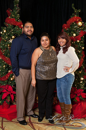 535_HolidayPhotoBooth2013byLightRainImages
