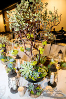 016-FlavorsPHX-LightRainImages05272016