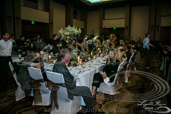 505-FlavorsPHX-LightRainImages05272016